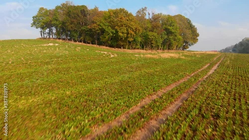 Beautiffull Autumn drone fly over the trees and fields photo