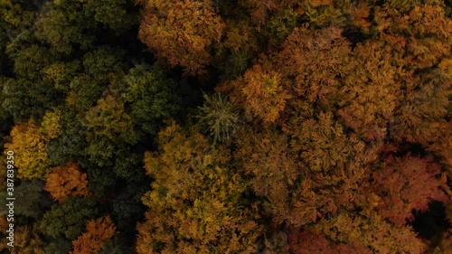 Beautiffull Autumn drone fly over the trees and fields photo