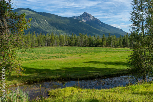 River with green meadow  forest and mountains against a sky with dense clouds