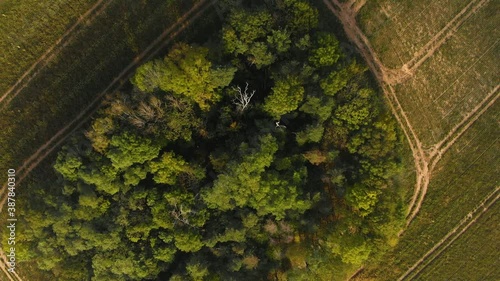 Beautiffull Autumn drone fly over the trees and fields photo