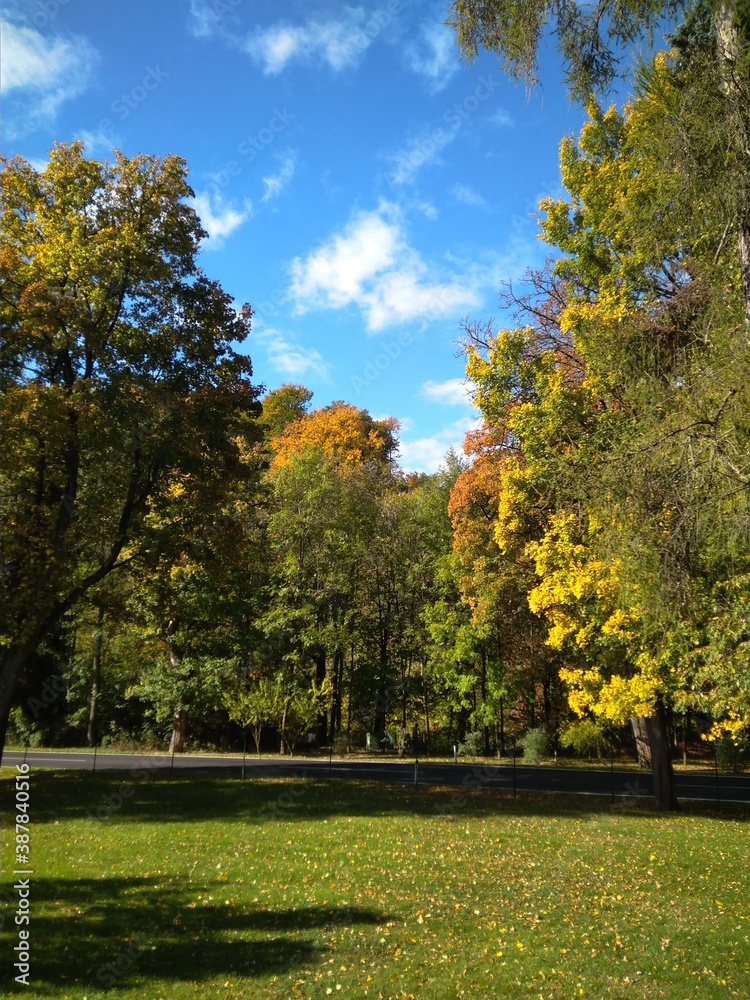 Naklejka premium Осень