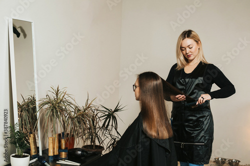 A female hairdresser of European appearance works with the hair of a model. Home beauty salon. Barbershop. Healthy strong hair.