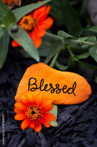 Hand painted rock that says, "Blessed" sitting by a zinnia plant. Vertical image