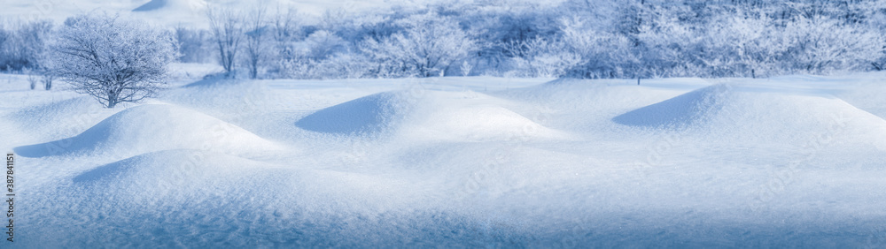 Banner snowy winter and snowy hills and trees forest Banner snowy winter and snowy hills and trees forest