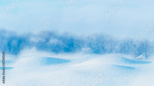 Wintertime background with copy space snow-capped hills and forest on a frosty day