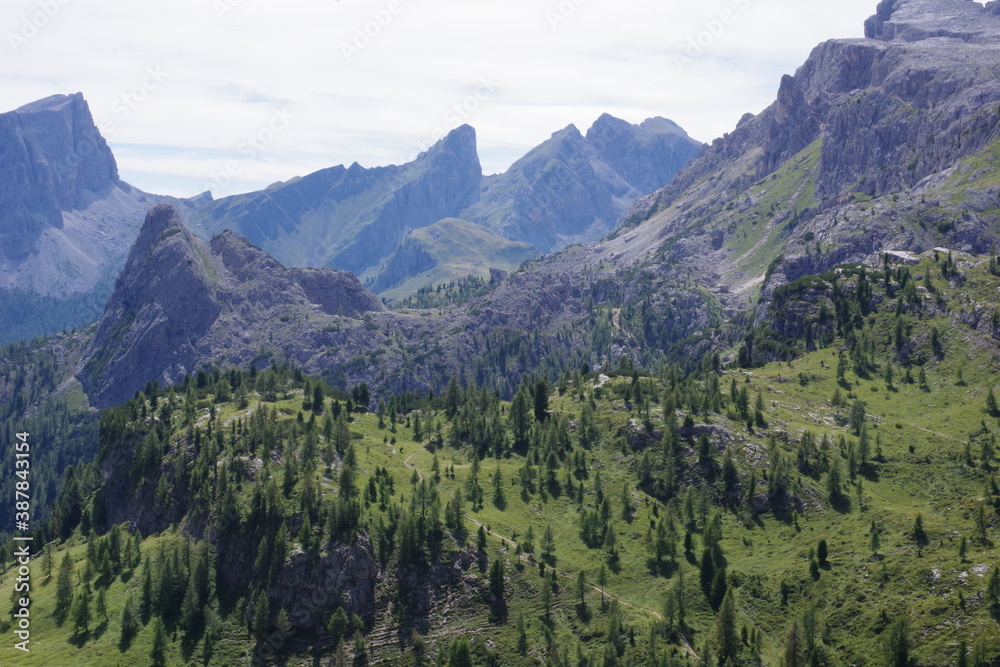 Fototapeta premium Panorama forestier dans les Alpes italiennes