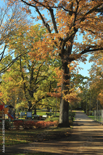 autumn in the park