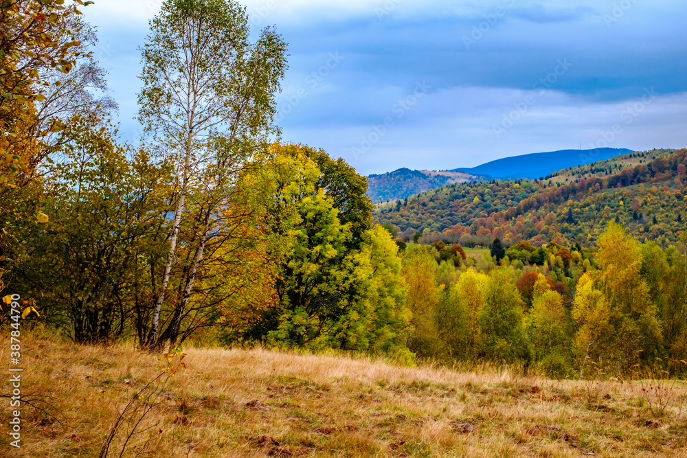 Fototapeta premium Colorful autumn landscape in the Romanian Carpathians, Fantanele village, Sibiu county, Cindrel mountains, 1100m, Romania