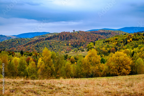 Colorful autumn landscape in the Romanian Carpathians  Fantanele village  Sibiu county  Cindrel mountains  1100m  Romania