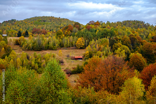 Fototapeta Naklejka Na Ścianę i Meble -  Colorful autumn landscape in the Romanian Carpathians, Fantanele village, Sibiu county, Cindrel mountains, 1100m, Romania