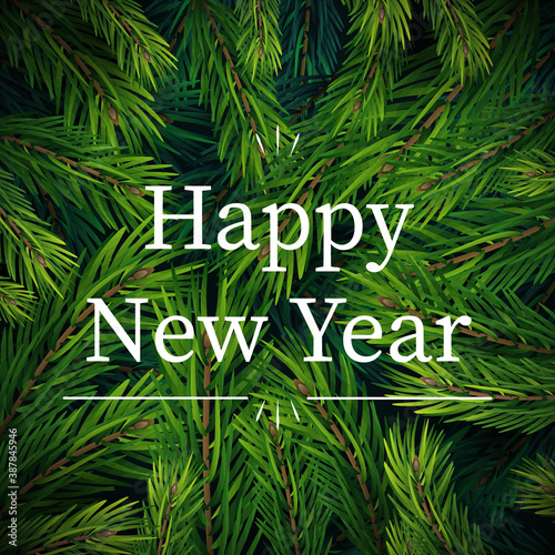Christmas tree branches background Illustration. Happy new year. 