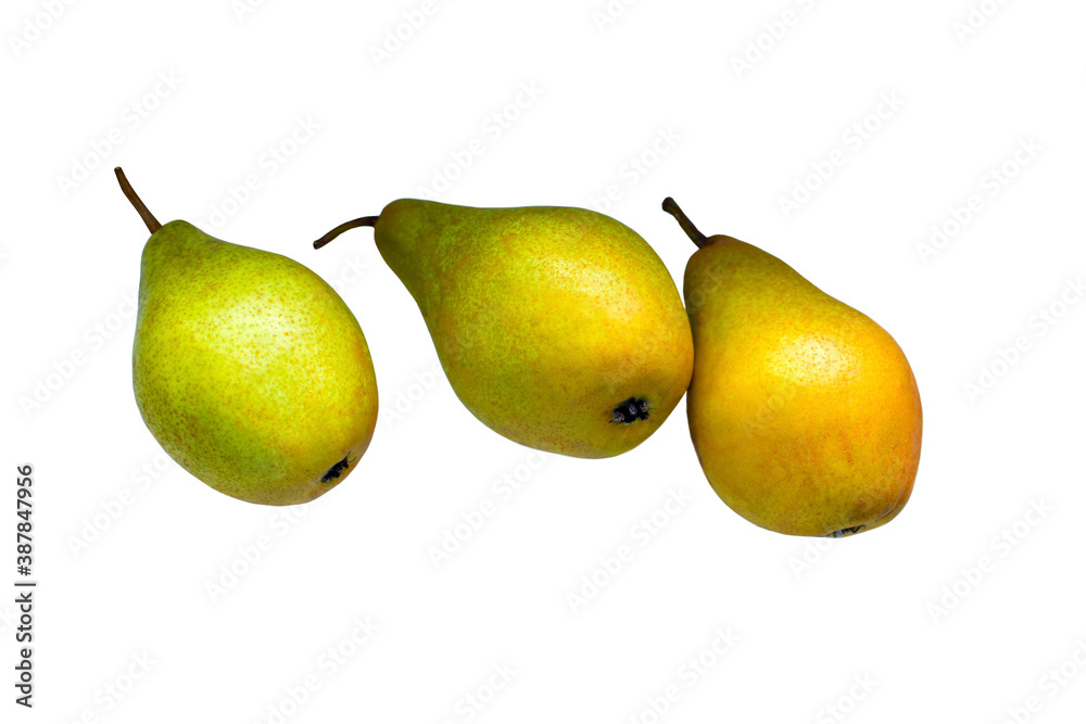 Close-up of three yellow-green pears, isolated on white background Close-up of three yellow-green pears, isolated on white background