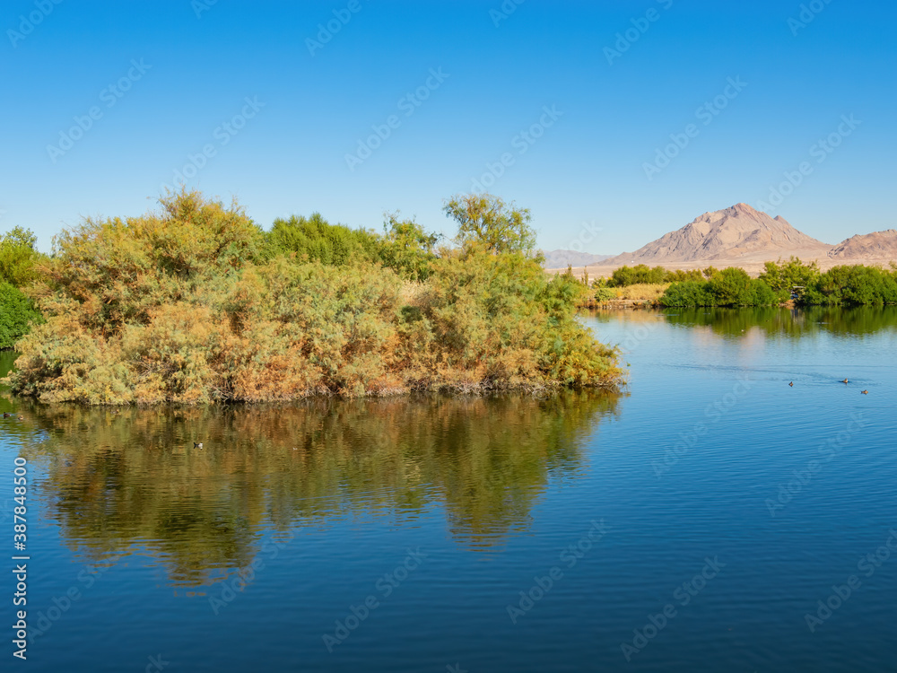 Sunny view of some landscape around Henderson Bird Viewing Preserve Sunny view of some landscape around Henderson Bird Viewing Preserve