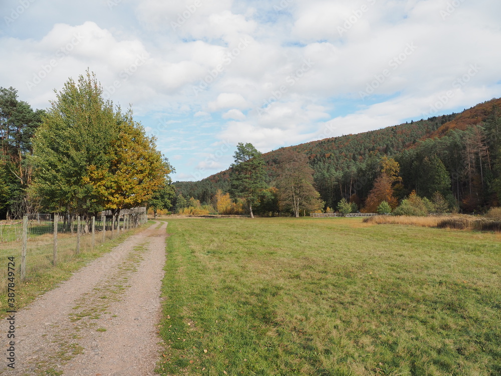 Landschaften im Herbst – Fischbach bei Dahn – Ortsgemeinde in Rheinland-Pfalz