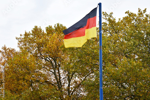 Germany flag in the background autumn trees covered with golden yellow leaves