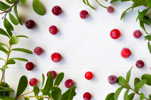 Cranberries with twigs and leaves on a white background with space for text. Natural medicine.