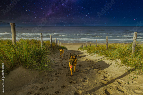 Obraz na plátně Night scene on the beach on the North Sea with moonlight from the left and a blu