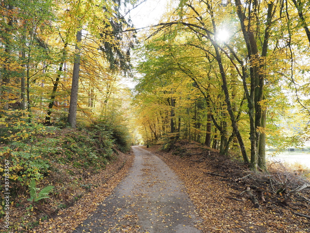 Landschaften im Herbst – Fischbach bei Dahn – Ortsgemeinde in Rheinland-Pfalz Landschaften im Herbst – Fischbach bei Dahn – Ortsgemeinde in Rheinland-Pfalz