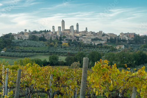 beautiful view of San Gimignano and its vineyards