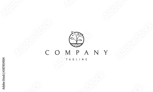 Vector logo on which an abstract image of a plant with leaves with a root in a circle.