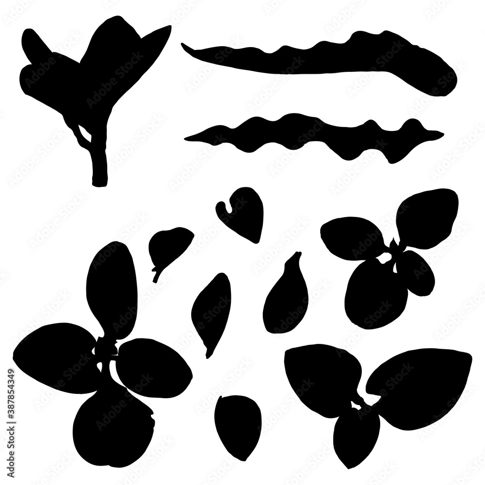 Various tropical jungle leaves set in black. Isolated palm tree branches and herbs leaf or foliage silhouette. Vector. Various tropical jungle leaves set in black. Isolated palm tree branches and herbs leaf or foliage silhouette. Vector.