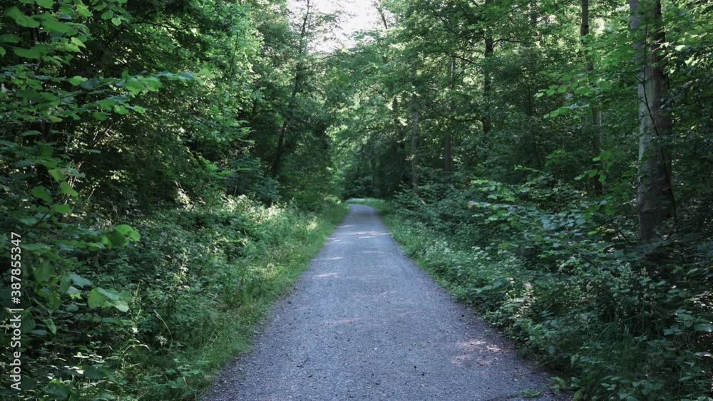 Dirt road that leads through a forest, meadows and vineyards