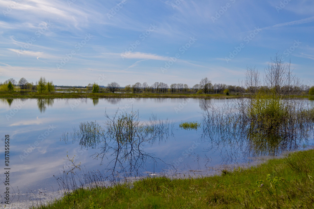 Forest lake Spring in the forest