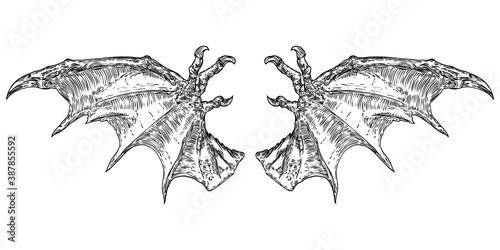 Hand drawn vintage etched woodcut fallen angel or vampire detailed wings. Dragon or gargoyle wings. Heraldic wings for tattoo and mascot design. Isolated sketch collection. Vector.