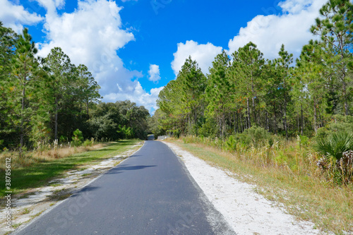 A biking trail in a sunny day in Florida. Taken in Flatwood park in Tampa. Florida