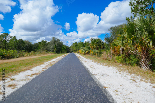 A biking  trail in a sunny day in Florida. Taken in Flatwood park in Tampa. Florida