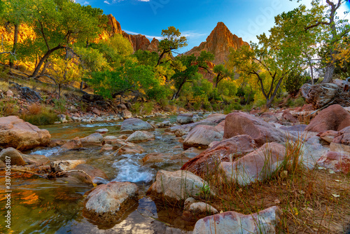 Принти на полотні Water Flows Along the Virgin River in Zion Canyon
