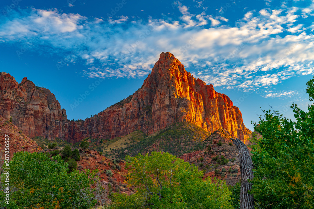 Fototapeta premium Clouds Over the Watchman in Zion National Park