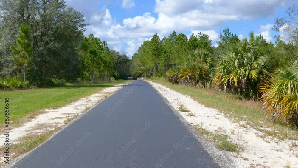 A biking trail in a sunny day in Florida. Taken in Flatwood park in Tampa. Florida A biking trail in a sunny day in Florida. Taken in Flatwood park in Tampa. Florida