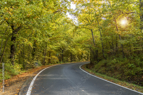 strada in autunno