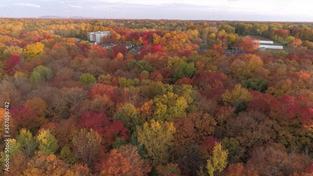 Flying with a drone from right to left showing bright colors of Autumn Flying with a drone from right to left showing bright colors of Autumn