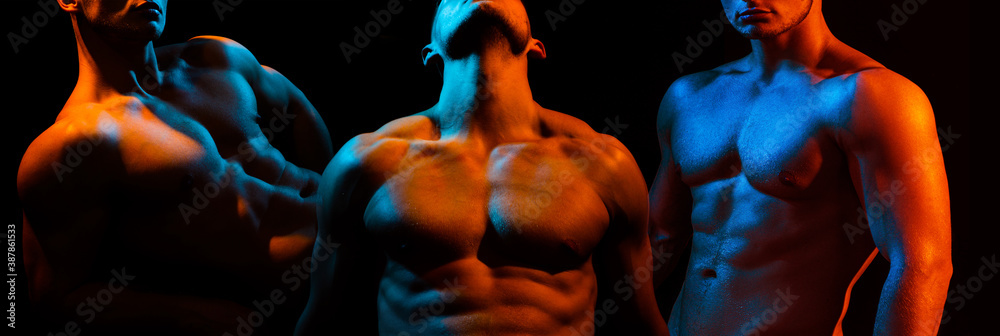 Set of muscular men body and shoulder muscles. Sexy gays with muscle. - obrazy, fototapety, plakaty 