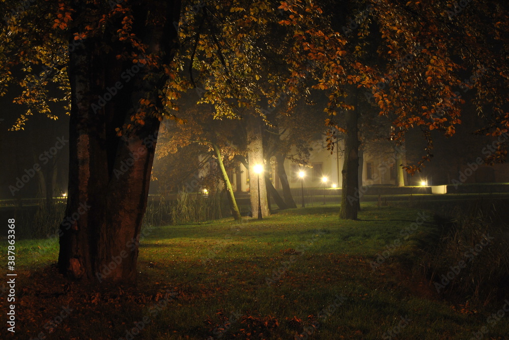 Pięknie oswietlony park nocą. - obrazy, fototapety, plakaty 