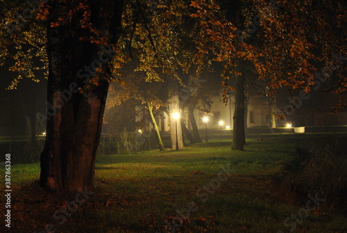 Pięknie oswietlony park nocą.