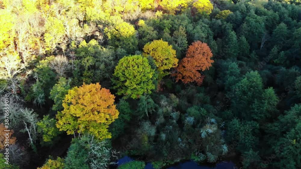 Vue aérienne de champs et d'arbres à l'automne. Vue aérienne de champs et d'arbres à l'automne.