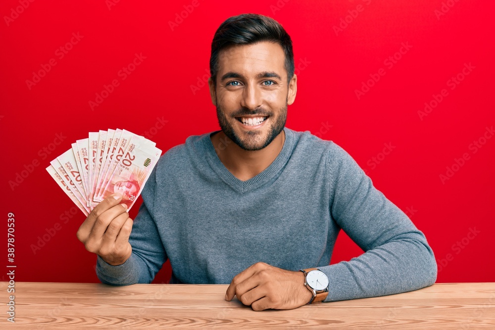 Handsome hispanic man holding israel shekels looking positive and happy standing and smiling with a confident smile showing teeth Handsome hispanic man holding israel shekels looking positive and happy standing and smiling with a confident smile showing teeth