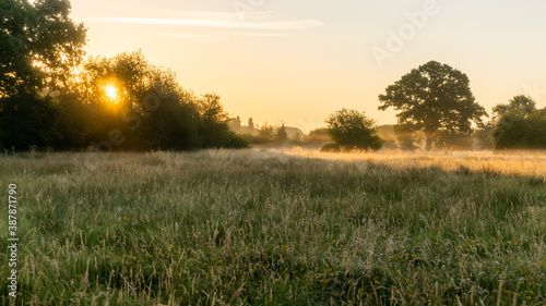 Meadow flooded with morning hazy mist and first rays of sun. Pasture field with trees, grass and bushes in sunrise and fog. Warm colors of cold morning.