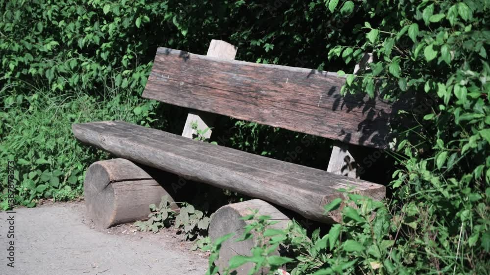 Wooden park bench in front of trees in the sunshine Wooden park bench in front of trees in the sunshine