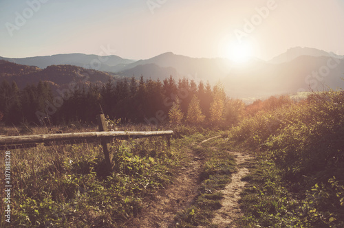 Sunny Carpathian Trail