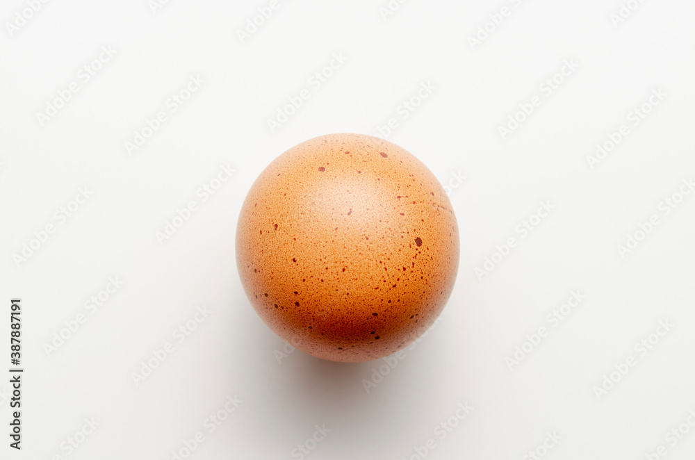 eggs on a white background. comparison. round egg. eggs on a white background. comparison. round egg.