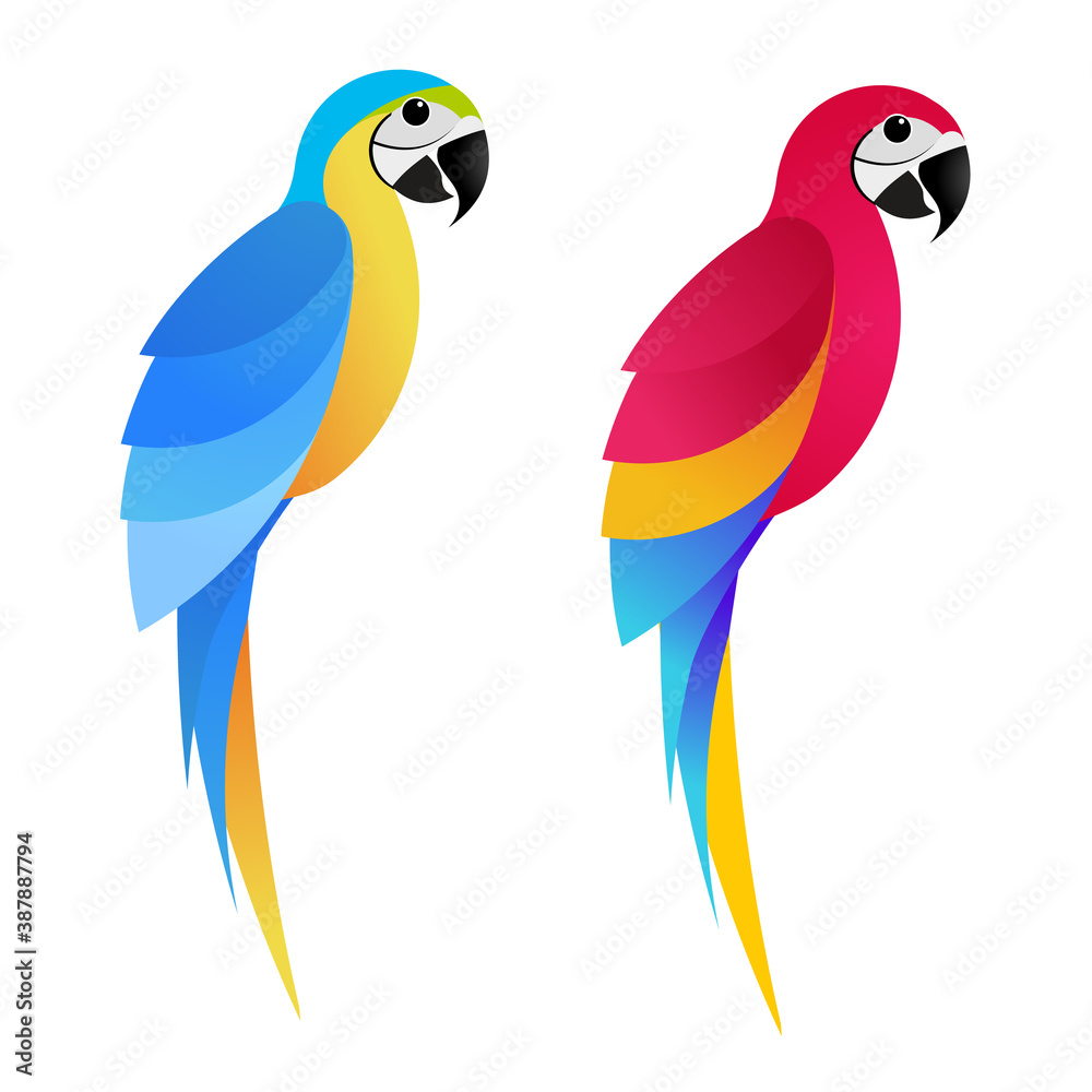 Flet parrot macaw on white background Flet parrot macaw on white background