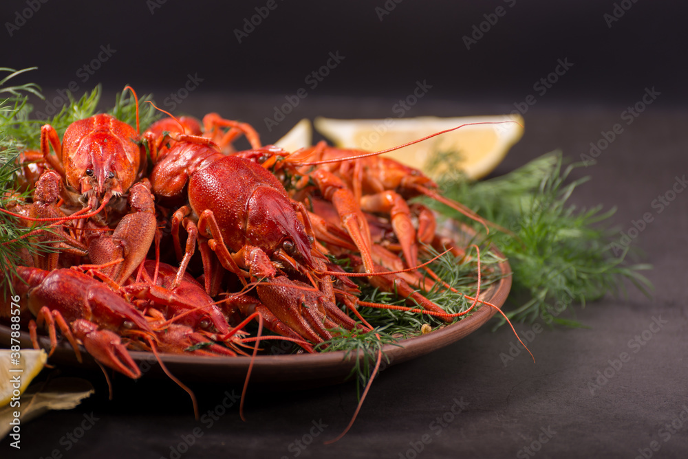 Crayfish boiled on a dish with dill spices and lemon. Crayfish boiled on a dish with dill spices and lemon.