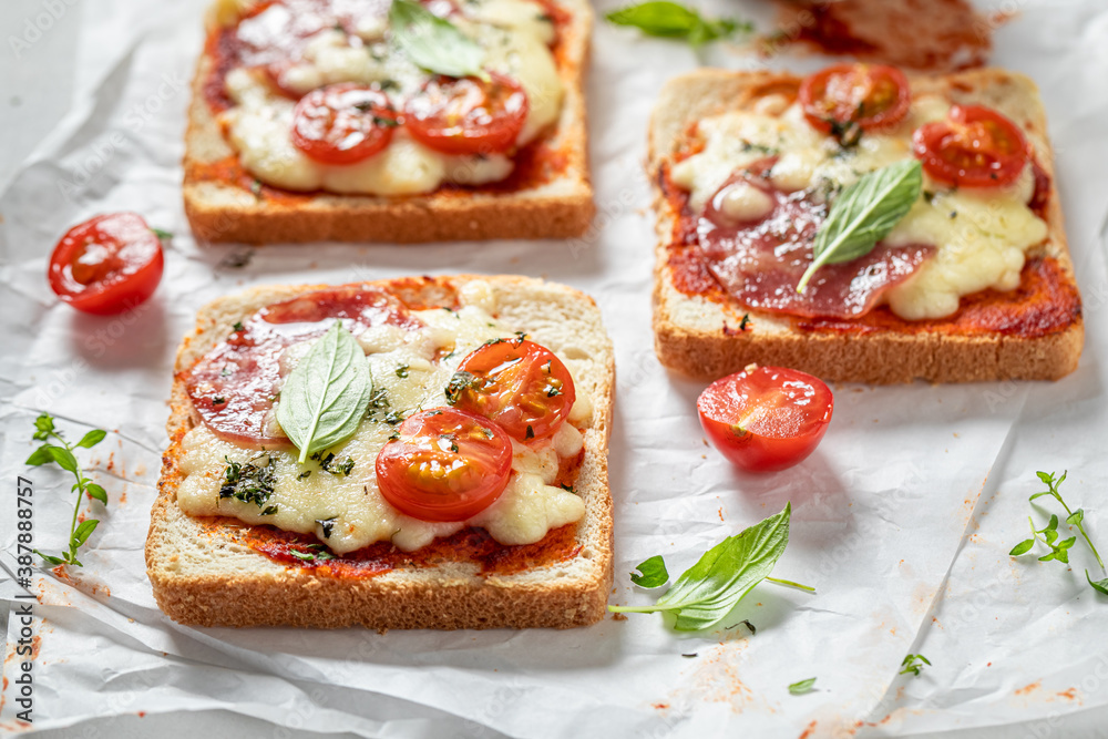 Rustic Toast with salami, cheese and tomato Rustic Toast with salami, cheese and tomato