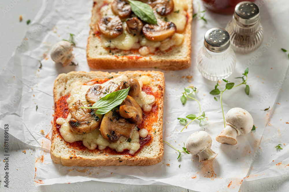 Vegetarian Toast with mushrooms, basil and cheese