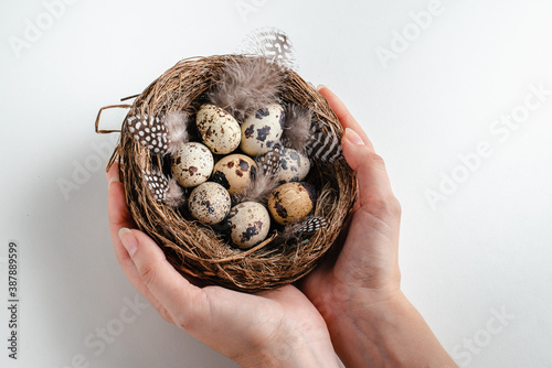 Happy easter. Young woman holds nest with quail eggs in her hands. White background, space for text