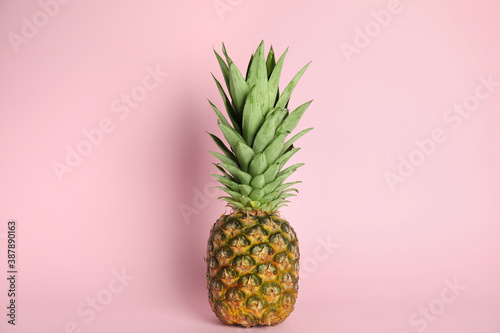 Whole ripe juicy pineapple on pink background